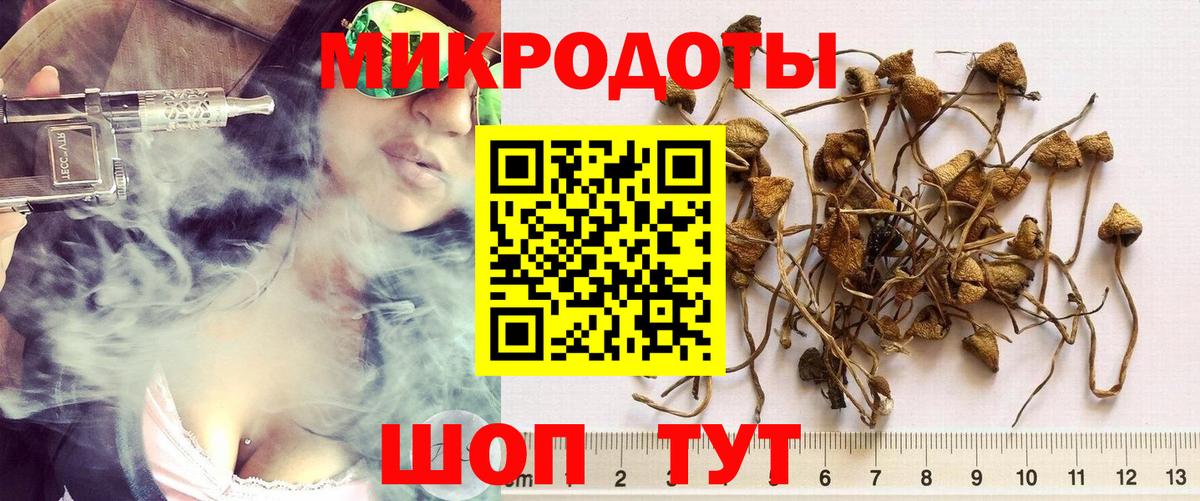 Галлюциногенные грибы Magic Shrooms Кимры