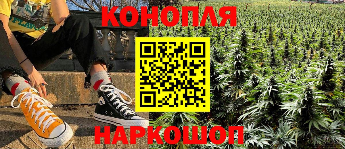 Каннабис ГИДРОПОН Кимры